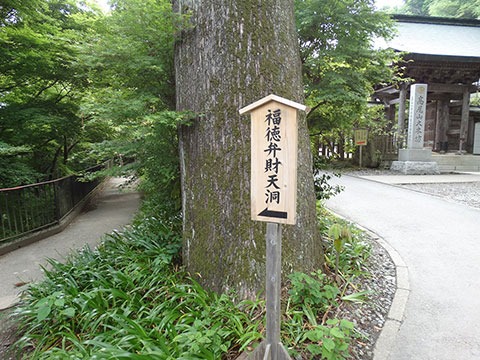 Mount-Takao-and-Yakuouin-28